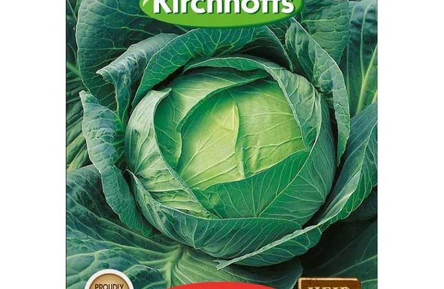 Vegetable Seed Cabbage's Kirchhoffs-Drumhead-Picture Packet