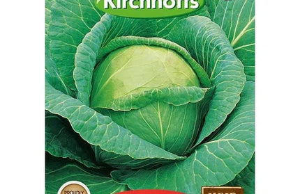 Vegetable Seed Cabbage's Kirchhoffs-Glory of Enkhuizen-Picture Packet