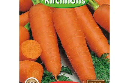 Vegetable Seed Carrot's Kirchhoffs-Cape Market-Picture Packet
