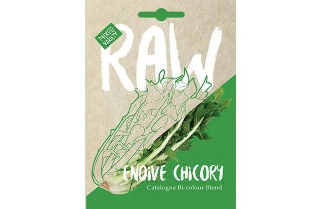 Vegetable Seed Chicory RAW-Catalogna Bi-colour Blend-Picture Packet