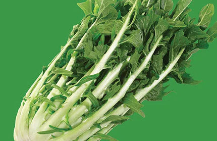 Vegetable Seed Chicory RAW-Catalogna Bi-colour Blend-Picture Packet-