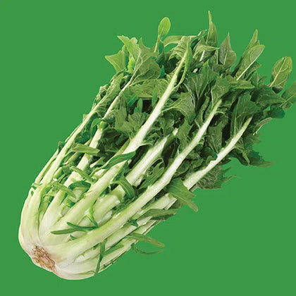 Vegetable Seed Chicory RAW-Catalogna Bi-colour Blend-Picture Packet-