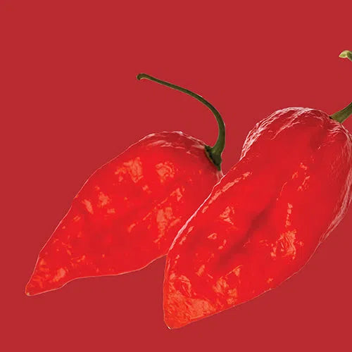 Vegetable Seed Chilli Pepper RAW-Ghost Chilli / Bhut Jolokia-Picture Packet-