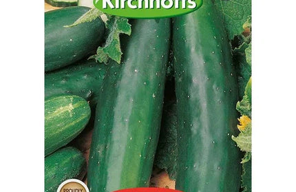 Vegetable Seed Cucumber's Kirchhoffs-Garden Sweet Burpless-Picture Packet