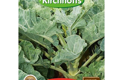 Vegetable Seed Kale Kirchhoffs-Chou Moullier-Picture Packet