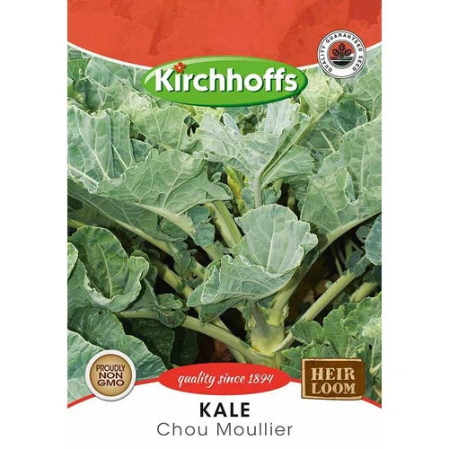 Vegetable Seed Kale Kirchhoffs-Chou Moullier-Picture Packet-