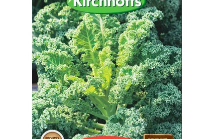 Vegetable Seed Kale Kirchhoffs-Vates Blue-Picture Packet