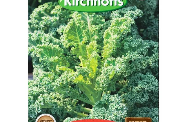 Vegetable Seed Kale Kirchhoffs-Vates Blue-Picture Packet