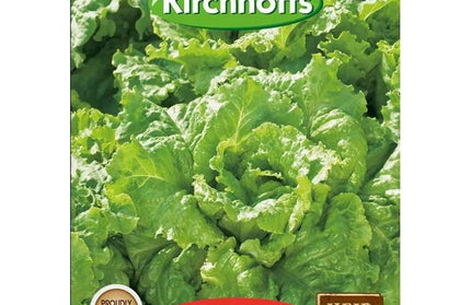 Vegetable Seed Lettuce Kirchhoffs-Blonde de Paris-Picture Packet