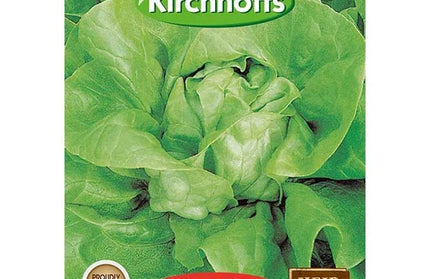 Vegetable Seed Lettuce Kirchhoffs-Butterhead-Picture Packet