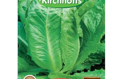 Vegetable Seed Lettuce Kirchhoffs-Cos Paris White-Picture Packet