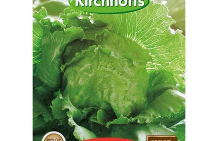Vegetable Seed Lettuce Kirchhoffs-Great Lakes-Picture Packet