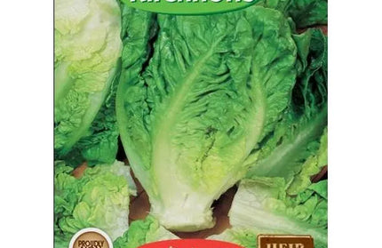 Vegetable Seed Lettuce Kirchhoffs-Little Gem-Picture Packet