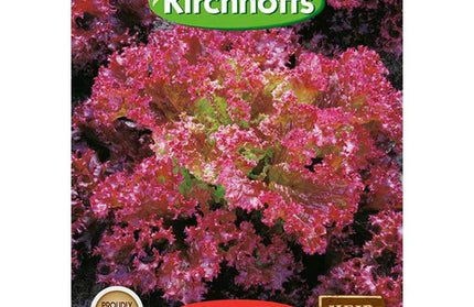 Vegetable Seed Lettuce Kirchhoffs-Lollo Rossa-Picture Packet