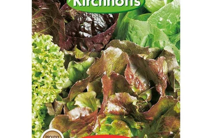 Vegetable Seed Lettuce Kirchhoffs-Salad Mixed-Picture Packet
