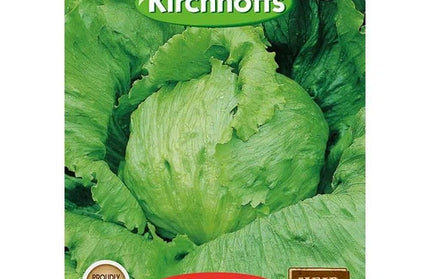 Vegetable Seed Lettuce Kirchhoffs-Saladin-Picture Packet