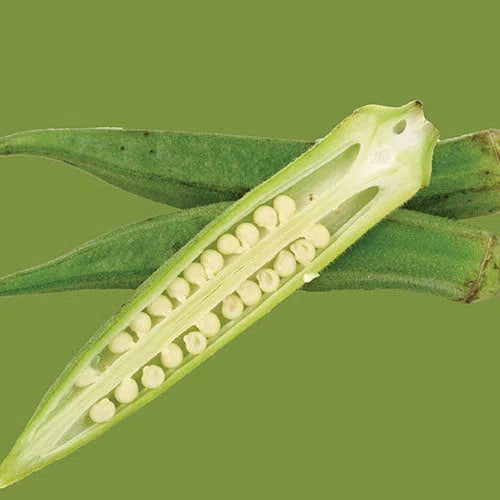 Vegetable Seed Okra RAW