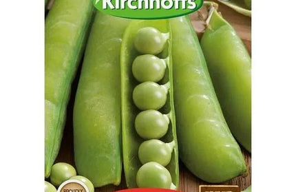 Vegetable Seed Pea's Kirchhoffs-Oregon Sugar Pod-Picture Packet