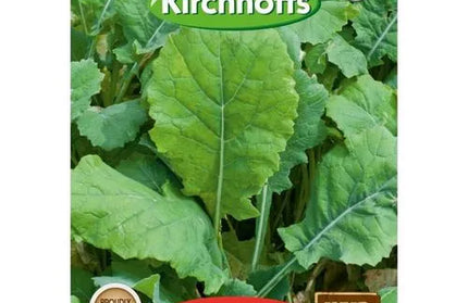 Vegetable Seed Rape Kirchhoffs-Giant Essex-Picture Packet
