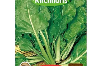 Vegetable Seed Spinach's Kirchhoffs-Baby (Lazio)-Picture Packet