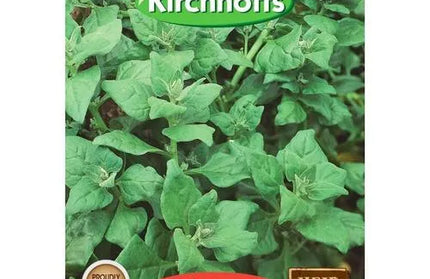 Vegetable Seed Spinach's Kirchhoffs-New Zealnad-Picture Packet