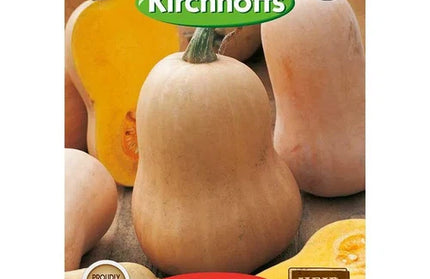 Vegetable Seed Squash's Kirchhoffs-Butternut-Picture Packet