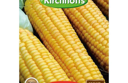 Vegetable Seed Sweetcorn Kirchhoffs-Overland-Picture Packet
