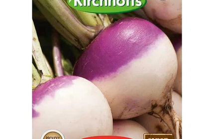 Vegetable Seed Turnip Kirchhoffs-Early Purple Top Globe-Picture Packet