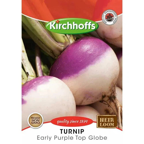 Vegetable Seed Turnip Kirchhoffs-Early Purple Top Globe-Picture Packet-