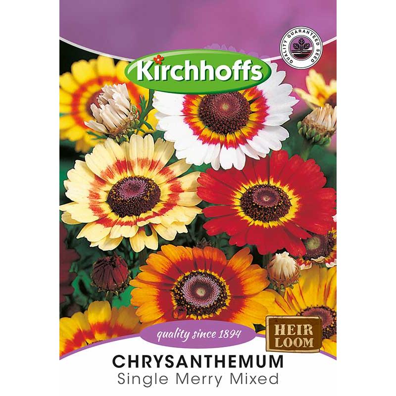 Flower Seed Chrysanthemum's Kirchhoffs-Seeds-Kirchhoffs-Single Merry Mix-Picture Packet-diyshop.co.za
