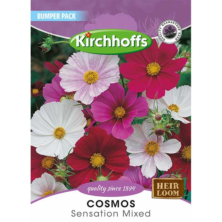 Flower Seed Cosmos's Kirchhoffs-Seeds-Kirchhoffs-Sensation Mixed-Picture Packet-diyshop.co.za